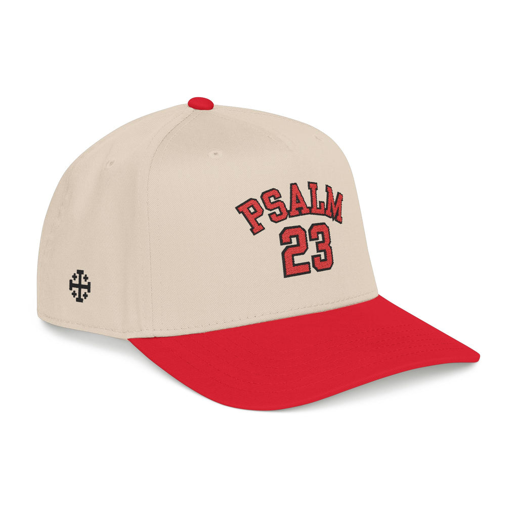 Psalm 23 Baseball Cap(LIGHT)