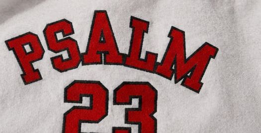 Psalm 23 Tee (LIGHT)