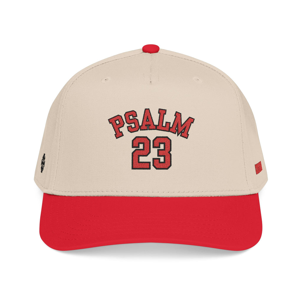 Psalm 23 Baseball Cap(LIGHT)